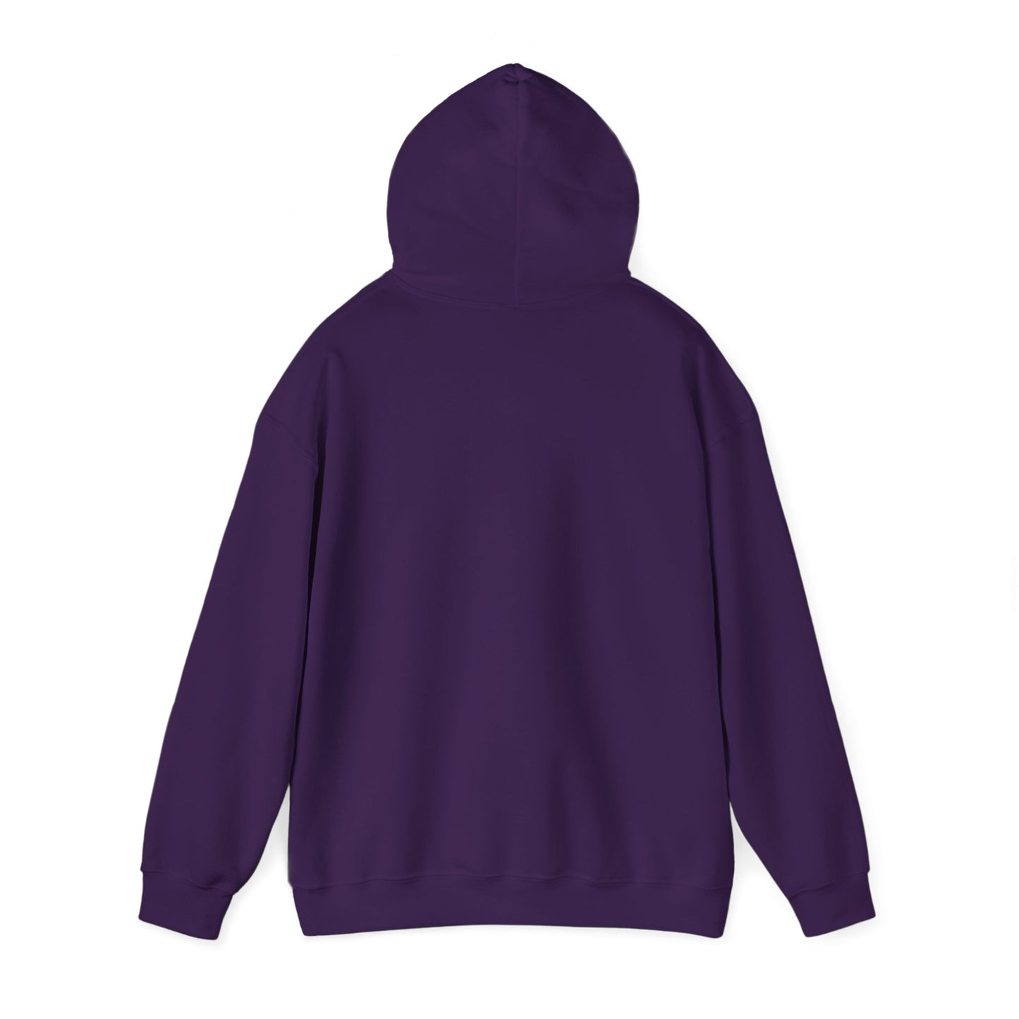 " Go, Go, Go Racing !!!!!!" Single Print Unisex Heavy Blend™ Hooded Sweatshirt