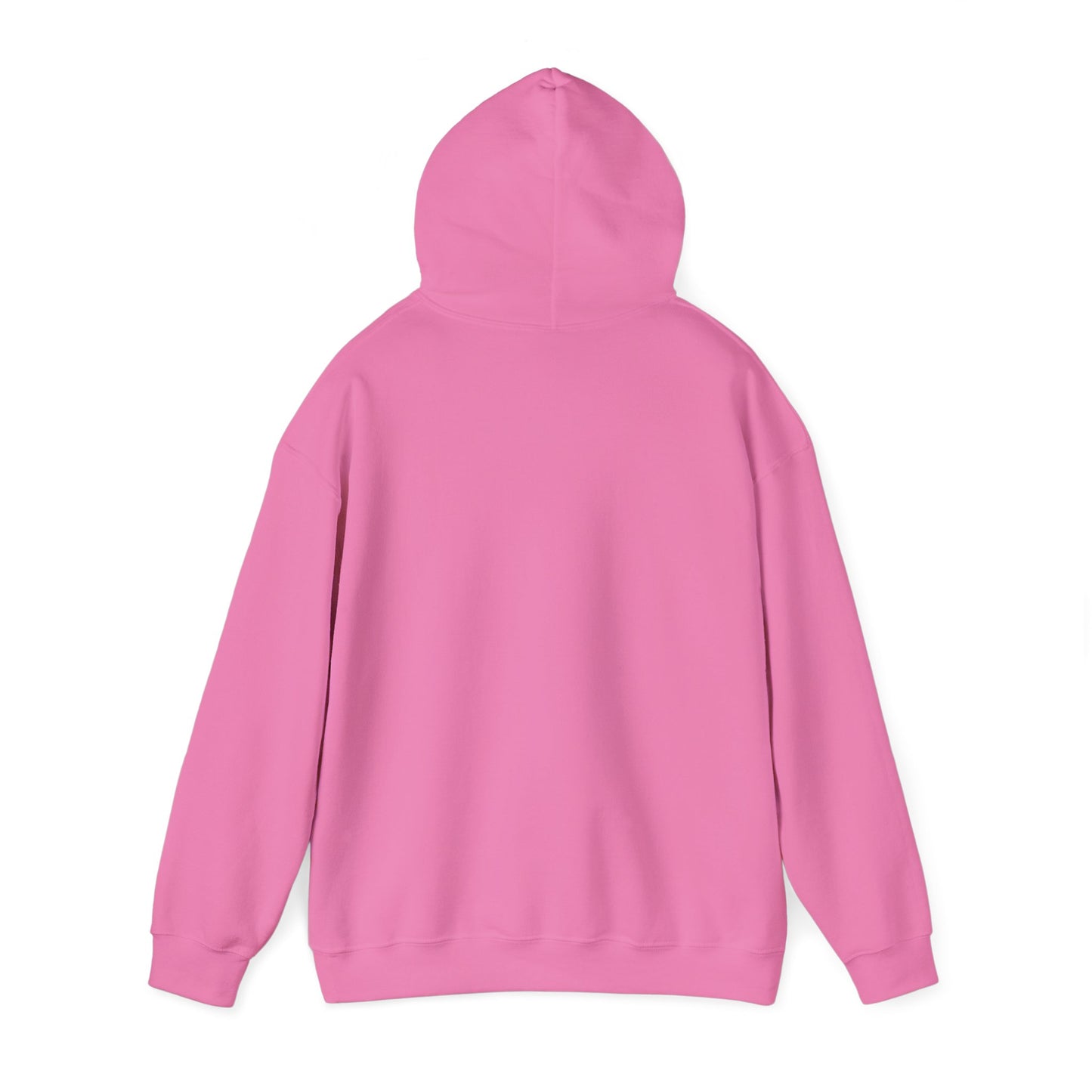" Go, Go, Go Racing !!!!!!" Single Print Unisex Heavy Blend™ Hooded Sweatshirt