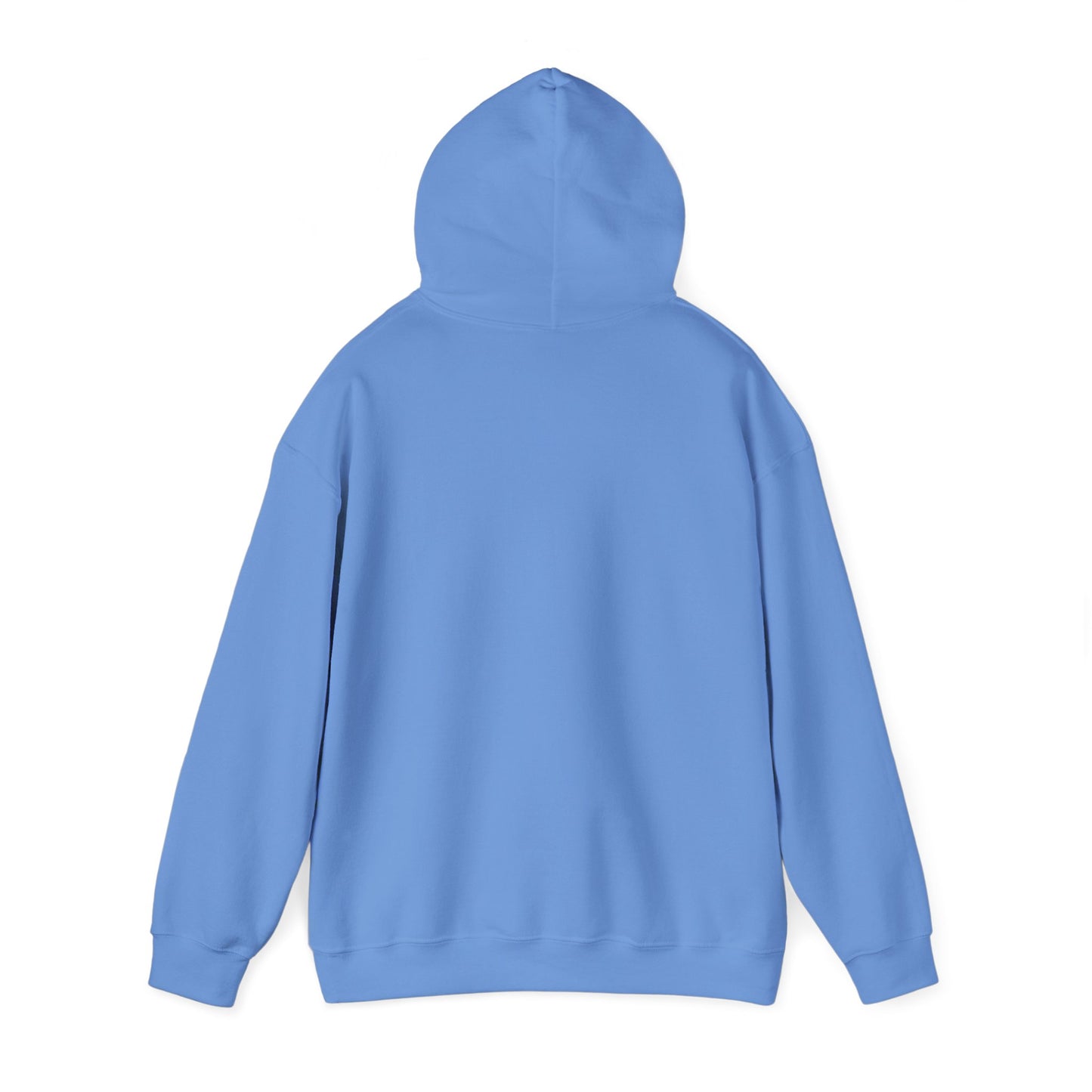 " Go, Go, Go Racing !!!!!!" Single Print Unisex Heavy Blend™ Hooded Sweatshirt