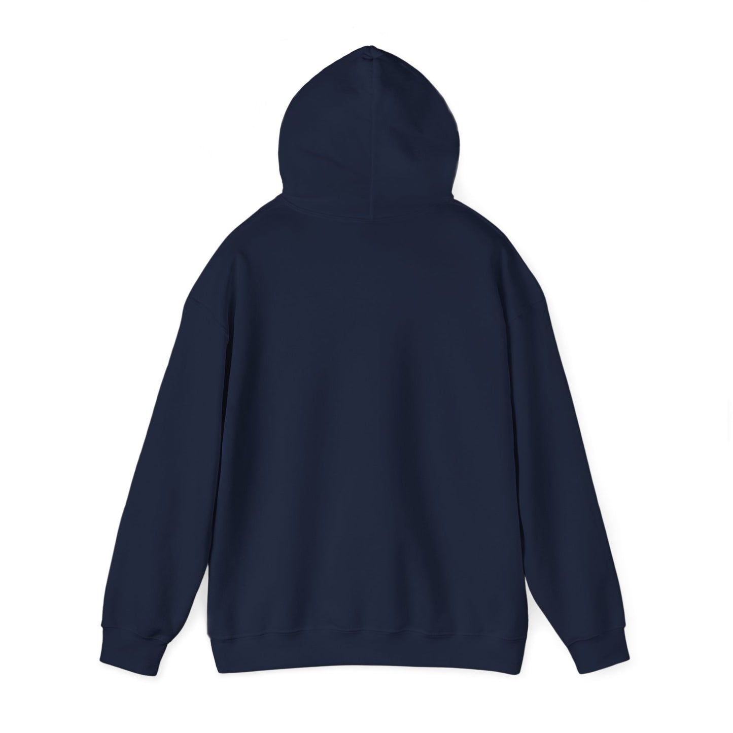 "Theory of everything" Single Print Unisex Heavy Blend™ Hooded Sweatshirt