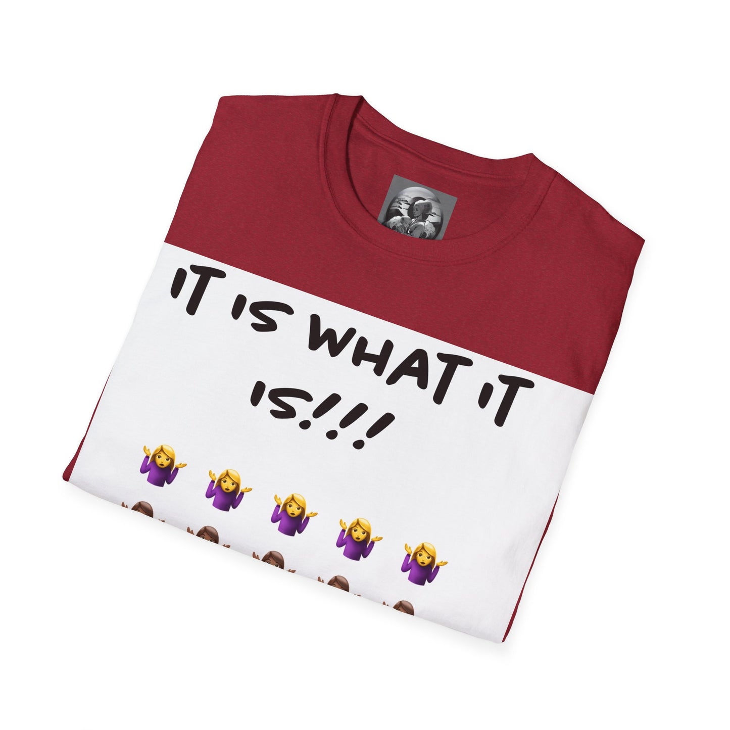"It is what it is female" Single Print Unisex Softstyle T-Shirt