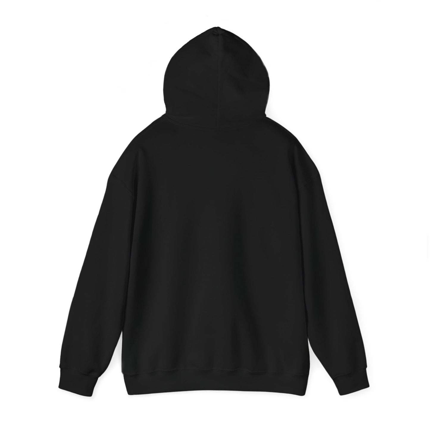 "The theory of everything" Single Print Unisex Heavy Blend™ Hooded Sweatshirt